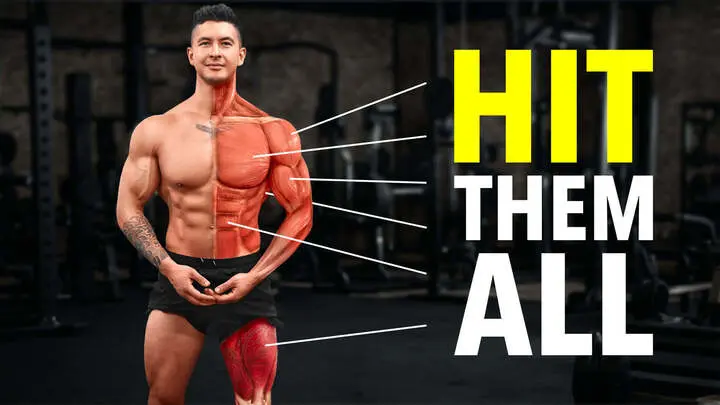 Full-Body Strength Training Plan for Beginners — GymPath
