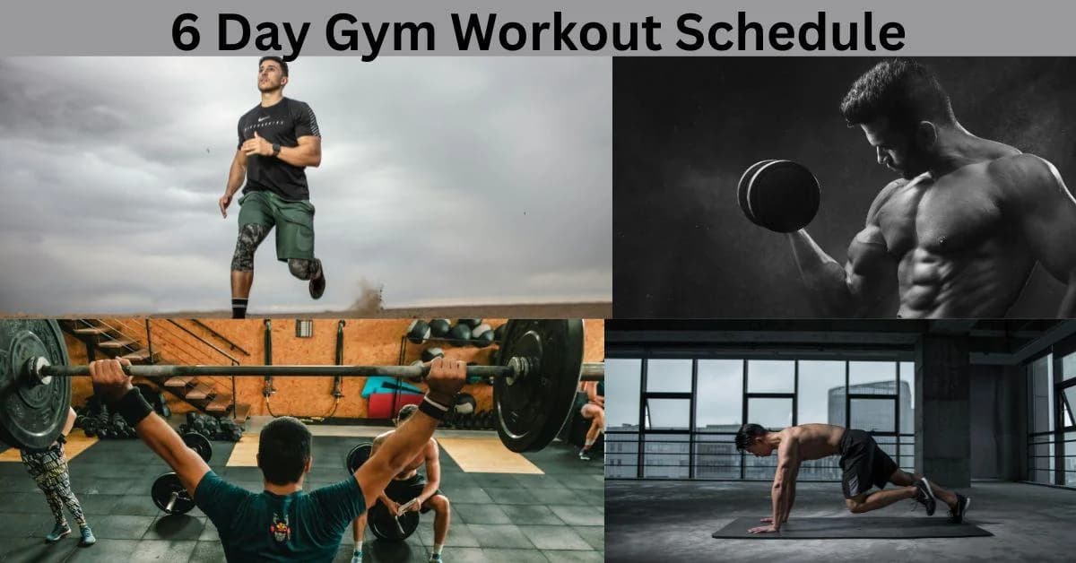 6 Day Gym Workout Schedule for Beginners (Complete Guide) — GymPath