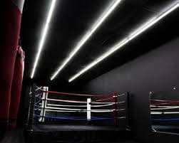 Boxing Training at Home: Los Angeles Fighter's Guide to Getting Ripped — GymPath