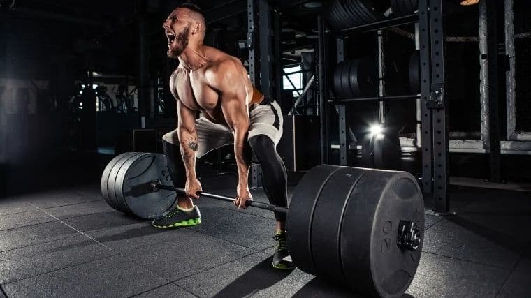  5 Day Workout Split for Beginners: Build Muscle and Strength Fast — GymPath
